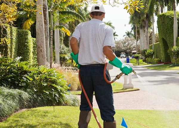 About Burlingame KS Pest Control